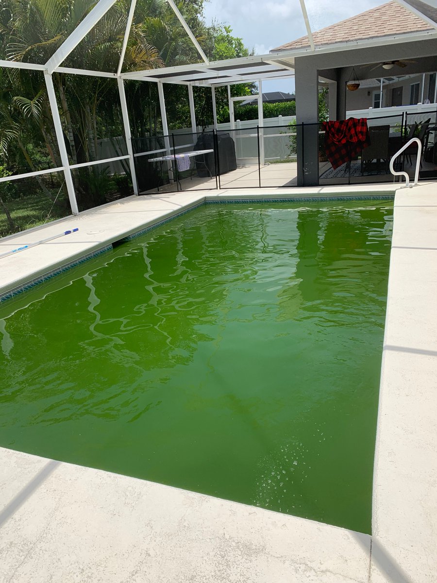 PoolPros_Inc's tweet photo. Are your kids at home? When they're full of energy and you need them OUTSIDE, having a green pool seriously stinks! Call us at (239) 277-7783. We'll make it blue again and give you back your sanity. 🤪 https://t.co/LIhVadbVF8