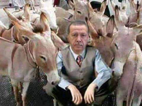 #اردوغان -أبو-قاعدة -مضروبة .