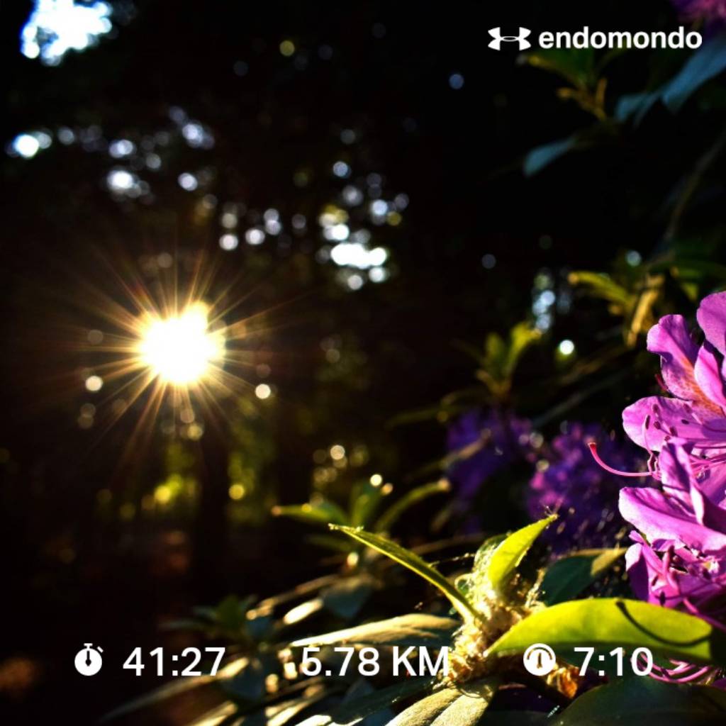 Sylwia21265367's tweet image. Lovely afternoon makes me full positive vibes ♥️😊 Warm up with my little and next just go and run 😊 #familyplayandfun #goandrun #PositiveVibes