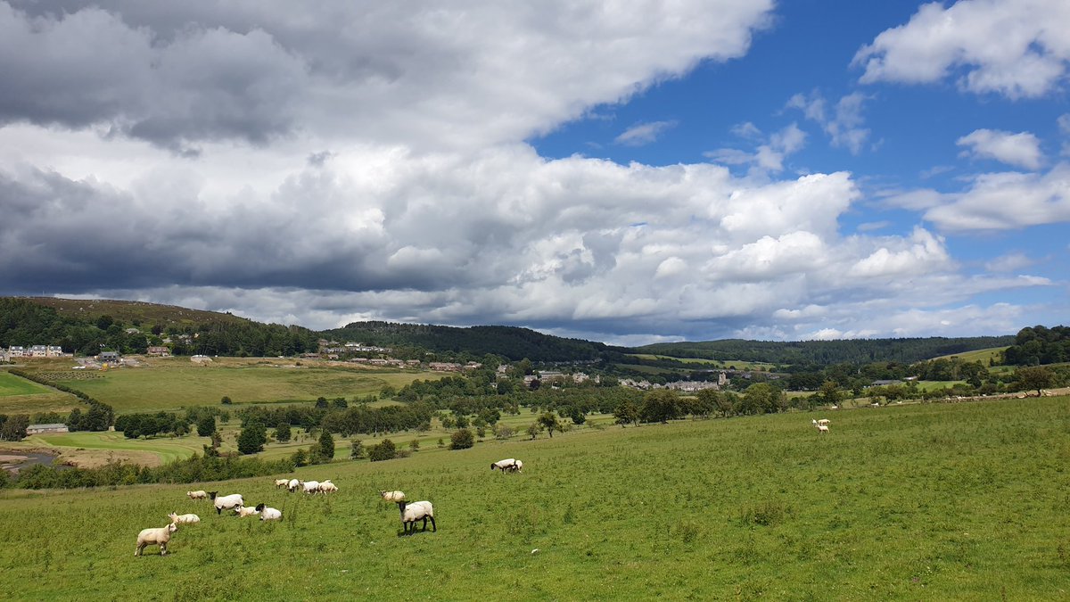 bagels_robson's tweet image. #lockdownleave cycle for a cuppa in #Rothbury. Turns out 75miles is a long cycle. Lesson's learned? Rothbury is hilly &amp;amp; you can never take too many snacks #timeforaliedown