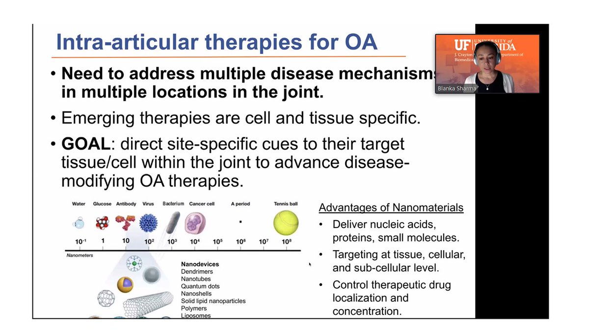 Juliane Nguyen (@julienguyenlab) on Twitter photo Exciting work out of Dr. Blanka Sharma's lab (<a href="/BlankaSharma/">Blanka Sharma</a>) covering new materials for OA! Great start to our webinar series "Rising Stars in Drug Delivery and Novel Carriers!" <a href="/UFBME/">UF BME</a> <a href="/DPMP_UNC/">Pharmacoengineering & Mol Pharmaceutics (DPMP UNC)</a> <a href="/UNCPharmacy/">UNC Pharmacy</a> <a href="/AinslieLab/">Kristy Ainslie</a> Exciting work out of Dr. Blanka Sharma's lab (<a href="/BlankaSharma/">Blanka Sharma</a>) covering new materials for OA! Great start to our webinar series "Rising Stars in Drug Delivery and Novel Carriers!" <a href="/UFBME/">UF BME</a> <a href="/DPMP_UNC/">Pharmacoengineering & Mol Pharmaceutics (DPMP UNC)</a> <a href="/UNCPharmacy/">UNC Pharmacy</a> <a href="/AinslieLab/">Kristy Ainslie</a>
