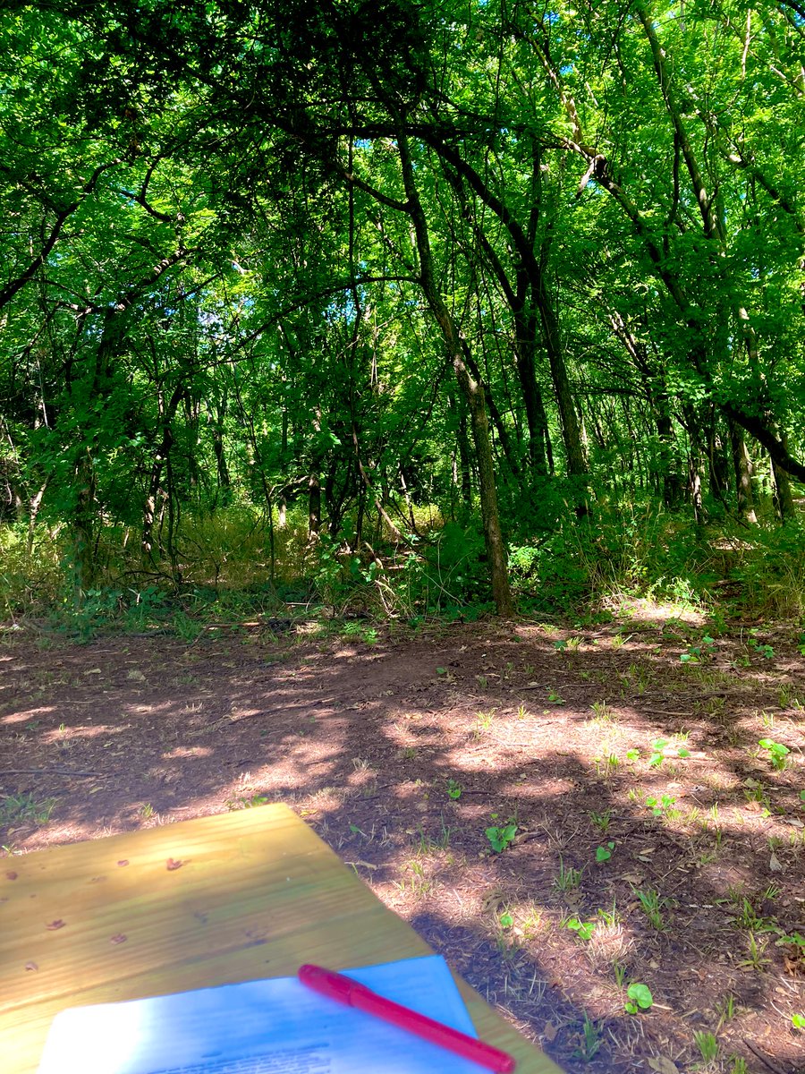 A__Rankin's tweet photo. Found a lovely spot for manuscript editing today #phdchat https://t.co/gI1wwp1rgT