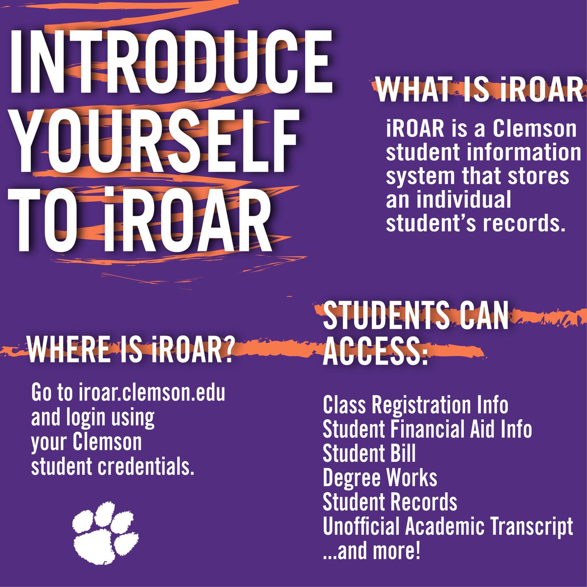 iroar degree works