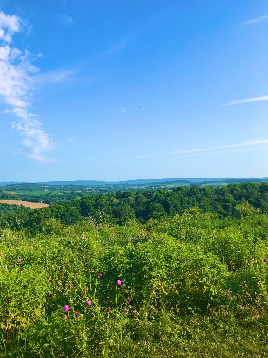 TangelaRoyal's tweet photo. GRGR 2020: Day 1 - The Tour Guide Challenge. Today we chose to run the Trexlertown Nature Preserve which is one of our favorite places to run. Trexlertown Nature Preserve is a 1,108 acre county park in Lehigh County, Pennsylvania.#gingerrunner #globalrun #grgr2020day1 #GRGR2020 https://t.co/vpi2O1o4tX
