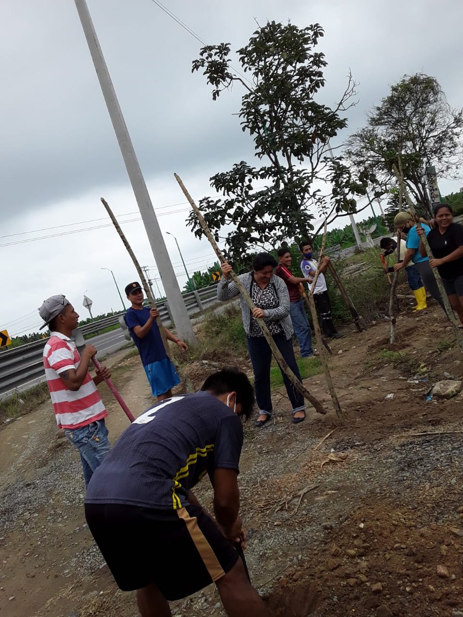 Margarita_0rtiz's tweet photo. Comprometidos con la educación los Directivos, docentes y padres de familia de la EEB Provincia de El Oro, realizaron minga de limpieza en las instalaciones del plantel. #SíALaEducación #AprendemosJuntosEnCasa.
#Distrito07D01 #ElGuabo #Tillales https://t.co/Vgpx69wI3U