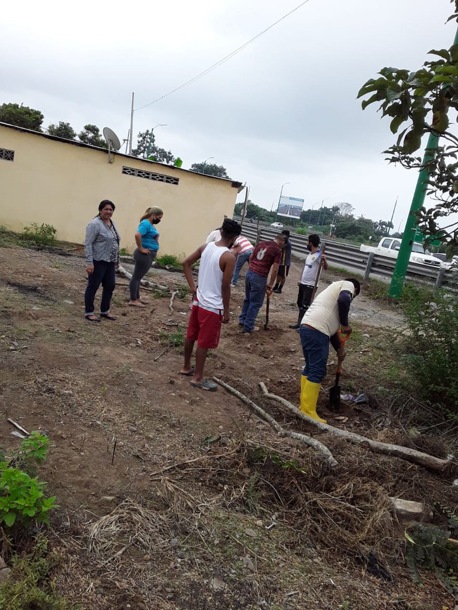 Margarita_0rtiz's tweet photo. Comprometidos con la educación los Directivos, docentes y padres de familia de la EEB Provincia de El Oro, realizaron minga de limpieza en las instalaciones del plantel. #SíALaEducación #AprendemosJuntosEnCasa.
#Distrito07D01 #ElGuabo #Tillales https://t.co/Vgpx69wI3U
