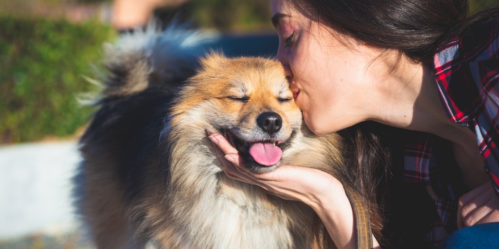 Unity4aSolution's tweet photo. Happy #InternationalKissingDay! πππ Remember to show love to your pets by spaying, neutering and microchipping them!
#unity4solutions #togetherwecan #endthecycle #spayandneuter #dogsoftwitter #catsoftwitter #microchip #Houston #hounews https://t.co/YhUWP6fLYP