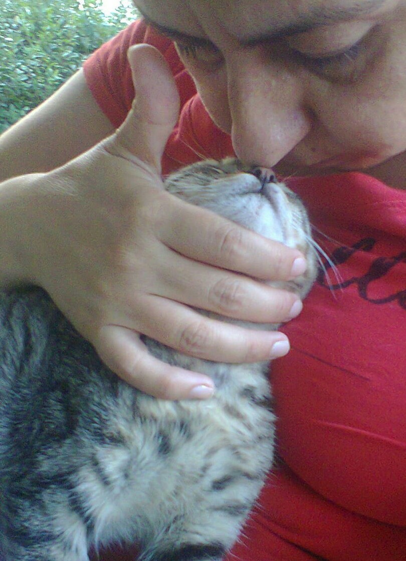Hergün biraz kedi sewmeli ..!
#kalbimizinSevgideKalabilmesiİcin

Bergüzar Korel