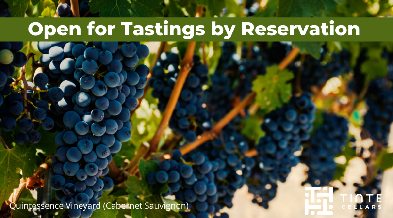 <a href="/TinteCellars/">Tinte Cellars</a> is open for tastings by reservation.  Email inf@tintecellars.com to set up a time. 
#seattle #woodinville #winetasting #wine #wawine
