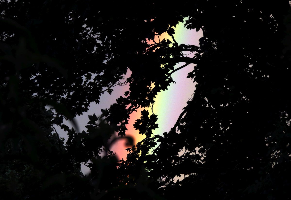 angegarrod's tweet image. Yesterday's #sunset #rainbow  #opticaleffects #atmosphericOptics