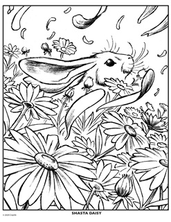 ColorBookCorner's tweet image. This cute Daisy Flower with a rabbit enjoying it is our #coloringpage of the day.

Courtesy of #crayola 

#coloring
