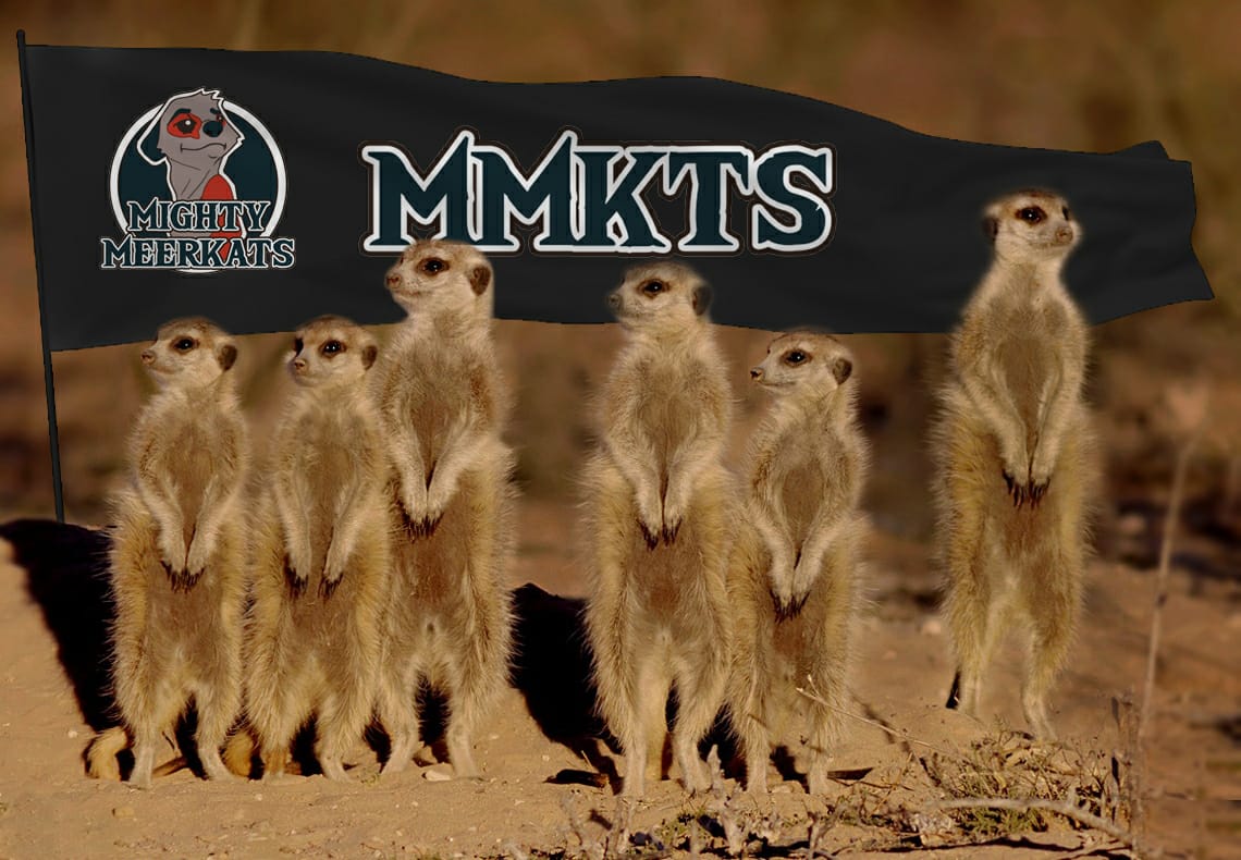 OJO!! Finalmente sí que jugaremos la final del playoff de ascenso de la <a href="/LegaOnline/">LaLegaOnline</a>!! Enormes los chicos de <a href="/GRFerrolARS/">Golden Arsenal Ferrol</a> que nos propusieron cambiar el partido a mañana, 7/07/2020 a las 21:00. Cualquier streaming que se anime será bienvenido. A por todas suricatos!!