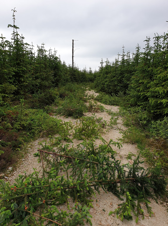 OPALlandegla tweet picture