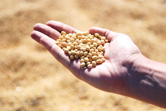 SeedWorld_US's tweet photo. In his latest Insiders column, Bob Bischoff, Seed Treatment Business Lead, Eastern Region, Nufarm, says It’s Not too Early to Mitigate 2021 SCN Loses #Insiders #SeedTreatment #Stewardship Nufarm US Crop Protection  Nufarm https://t.co/wOGAq9Z2BJ https://t.co/4gJ95G4elE