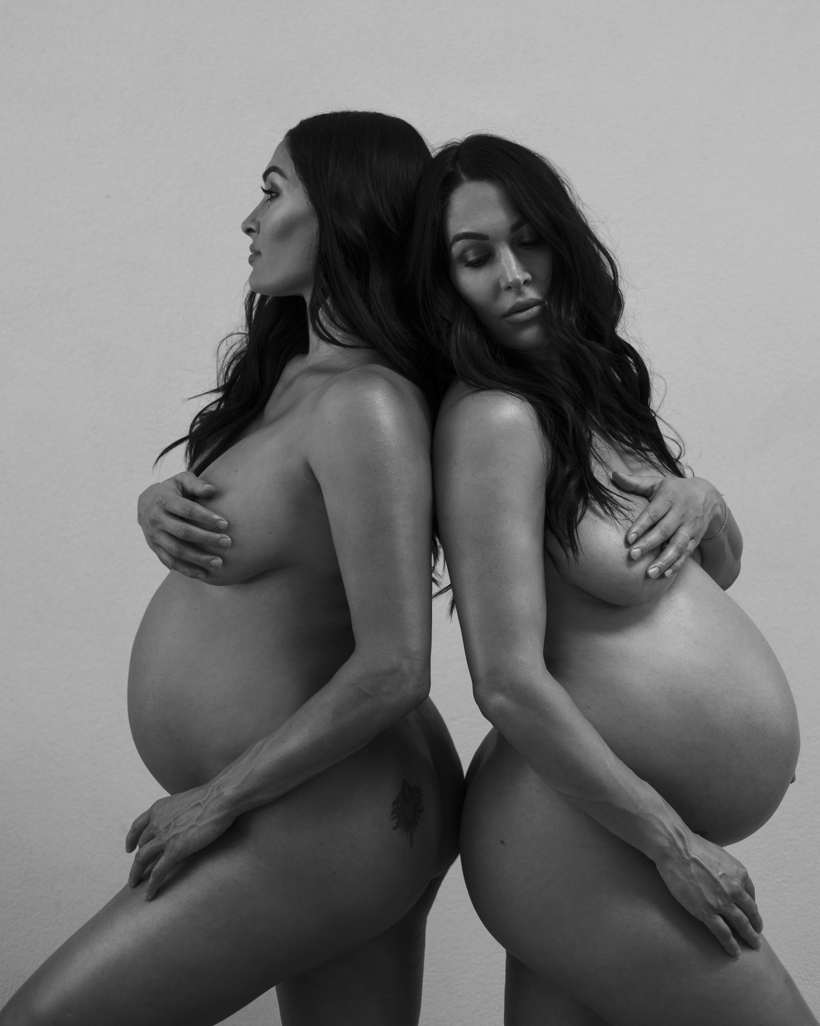Brie Bella And Nikki Bella Share Naked Pregnancy Photos To Entertain WWE Fa...