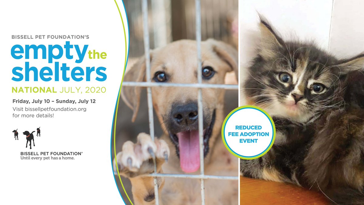 TCRAS's tweet photo. Help us #emptytheshelters! Thanks to the generosity of the #BissellPetFoundation, this weekend, adoption fees are just $25! * Call for an appt: 719-686-7707 * Visit us at https://t.co/a9ZlLZZNlK (Spay/neutered, microchipped &amp; current on vaccinations! Kittens &amp; puppies excluded.) https://t.co/c0Sg5nRYRB