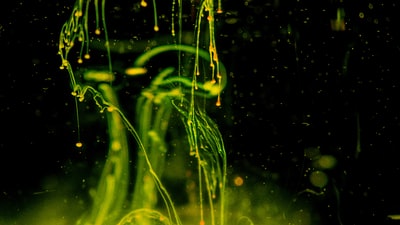 Fractal_Visions's tweet image. Photo By Lucas Benjamin | Unsplash 
 #spacescience🌏 #spacesciencecreationsleeve #spacesciencecamp #spacescienceexpress #spacesciencefest