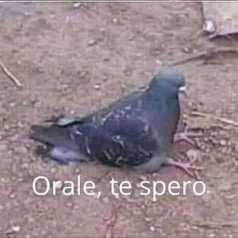 peakytinto's tweet photo. cuando le prestaba la bici a mi amigo para q de una vuelta y lo esperaba sentada en el cordón de la calle https://t.co/66SW6Cl29a