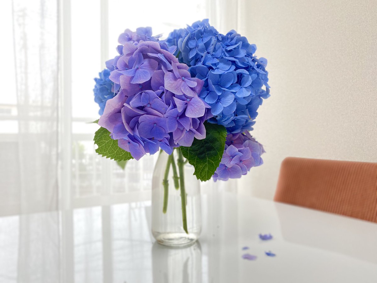 Purplesunflower Twitter Search