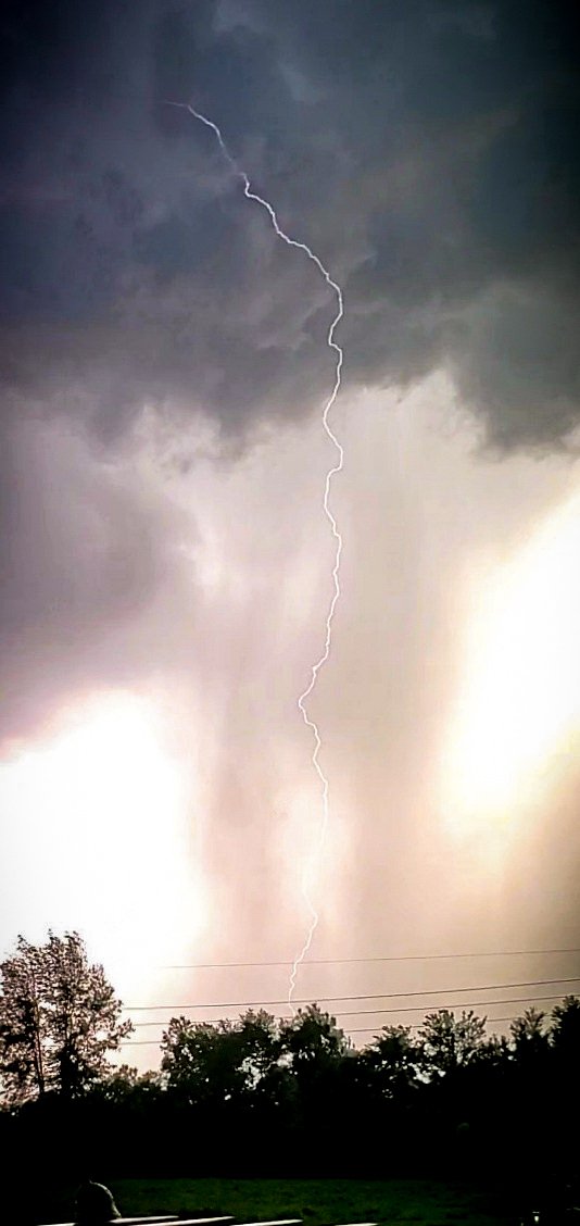 Caroline tweet media