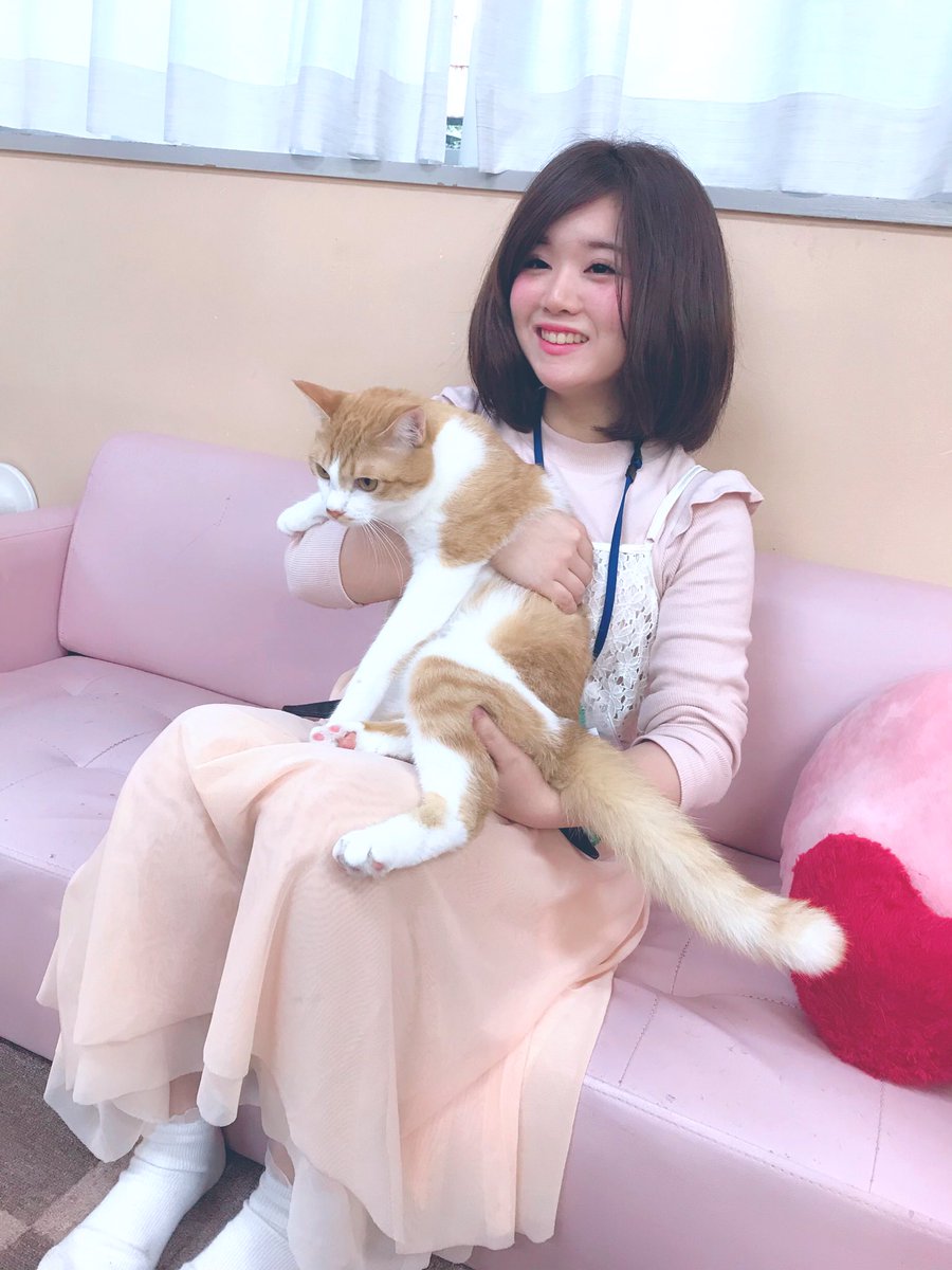 sere148's tweet photo. おはようございます🌞
今日は推し猫やまとのお誕生日🐈🎂
やよもあーちゃんもおめでとう🎉

犬派のわたしを猫沼に落としたやまとは永遠にわたしの推しです😭💗

@catcafenekorobi 
#ねころび https://t.co/Z0sNWpbFiF