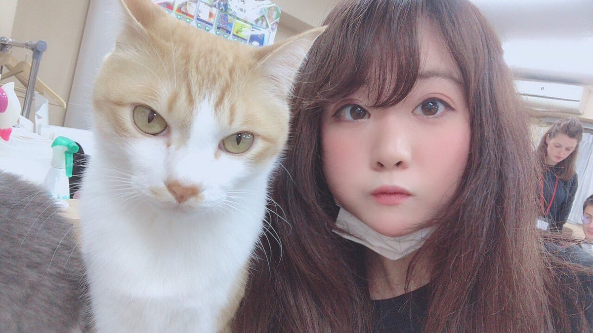 sere148's tweet photo. おはようございます🌞
今日は推し猫やまとのお誕生日🐈🎂
やよもあーちゃんもおめでとう🎉

犬派のわたしを猫沼に落としたやまとは永遠にわたしの推しです😭💗

@catcafenekorobi 
#ねころび https://t.co/Z0sNWpbFiF