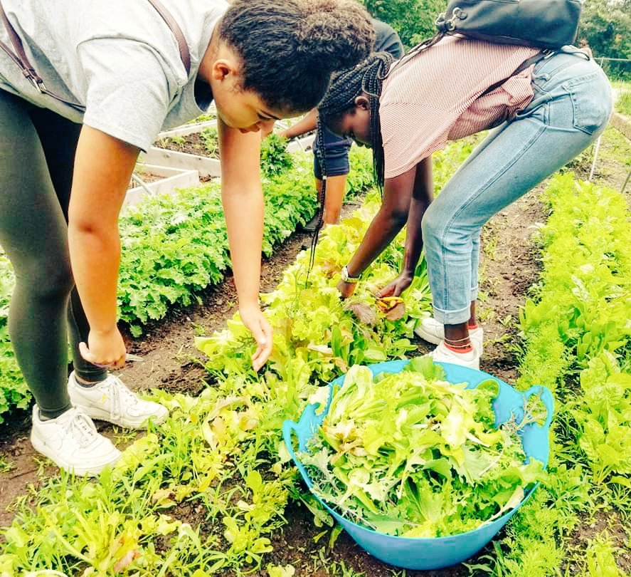 hopebloomshfx's tweet photo. Beauty and Brilliance are not defined by a postal code. HB youth
These past weeks we've been busy growing for our free community supported agriculture program, giving out weekly food boxes; weekly art kits given out to 60 of our younger youth ...but we still have time for fun https://t.co/qmbAbeaiyi