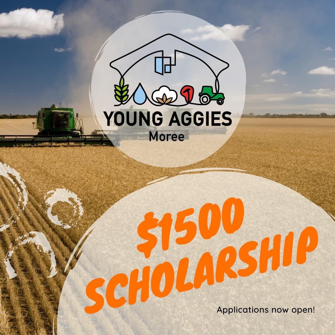 Young Aggies Moree tweet media