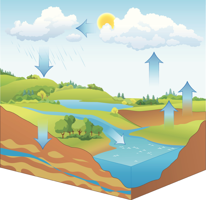 GLOBEProgram's tweet photo. Hey #GLOBECommunity! Check out this fun #NASA video all about the water cycle, and it's importance! https://t.co/l1KXDPTrnc
#TheGLOBEProgram #CitSci #GLOBE25 #GLOBEatHome #NASAatHome #GettingScienceDone #CitizenScience https://t.co/GpJQLqFSoM