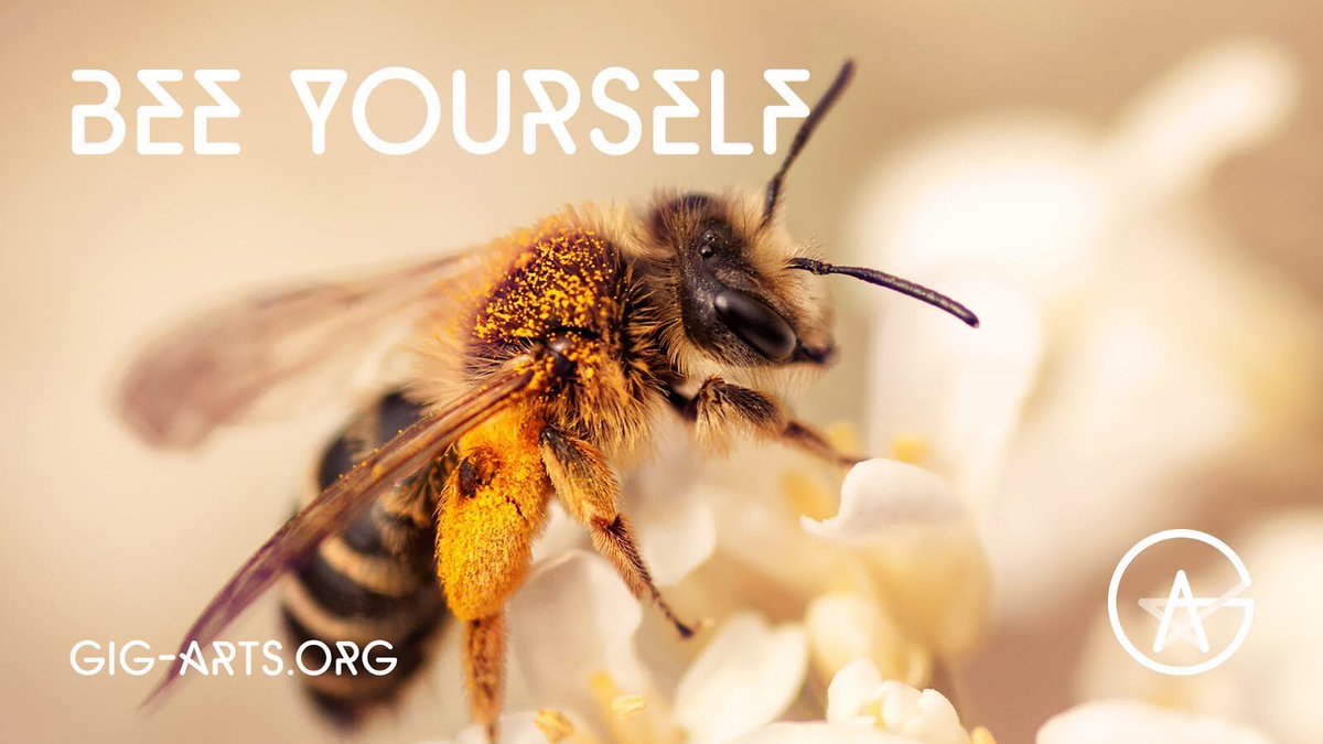 GigArts's tweet photo. Just bee yourself #BeCreative https://t.co/yJRk3pyFIi