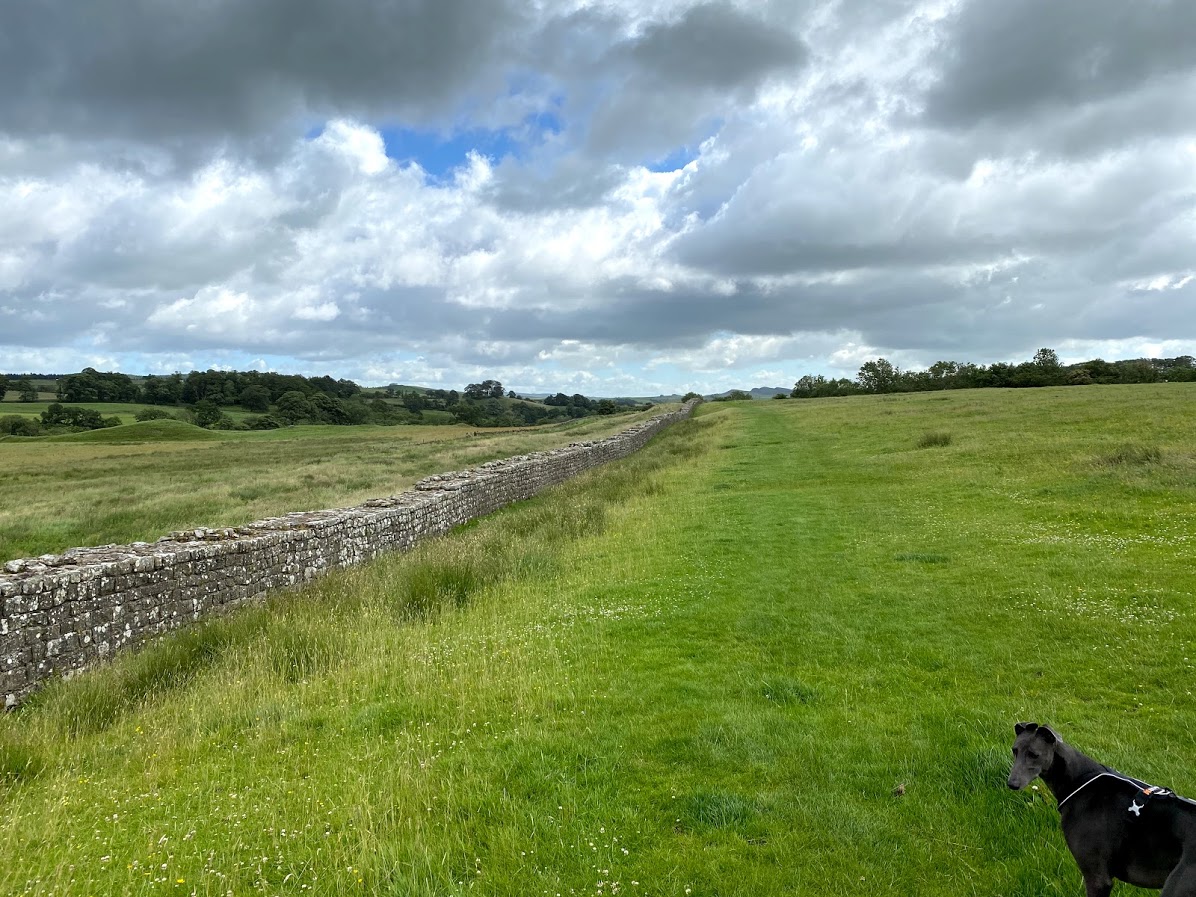 DogWalksNearMe's tweet photo. We spent the weekend exploring along Hadrian's Wall in north England. 

Including some #dogfriendly excursions @EnglishHeritage Housesteads, Birdoswald and Corbridge.

Walks we explored will appear on https://t.co/Dd6jIkZMN9 in the near future! 🐶

#DogWalksNearMe #HadriansWall https://t.co/IrQjM7nHPP