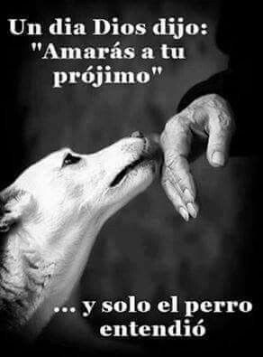 AMORFILIAL2's tweet photo. https://t.co/QR0hoLWHIg