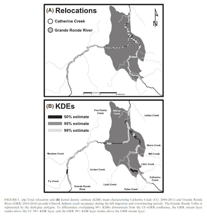 Overwinter ecology of #Chinook #salmon parr can guide winter habitat #conservation and #restoration 

Two pops with divergent rearing and mvmt patterns both favor lentic habitats like beaver ponds as core winter areas

#fishsci <a href="/MyODFW/">Oregon Department of Fish and Wildlife</a> <a href="/eoumountaineers/">Eastern Oregon University</a> 

doi.org/10.1002/tafs.1…