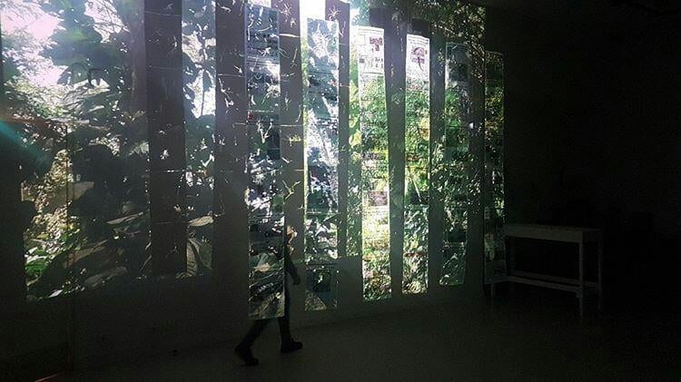assopluszero's tweet photo. SF2020 ⚡️ Invited Artist ⚡️ CCEDEX ⚡️ #SF2020 #artresidency https://t.co/2UEnUEPfUf