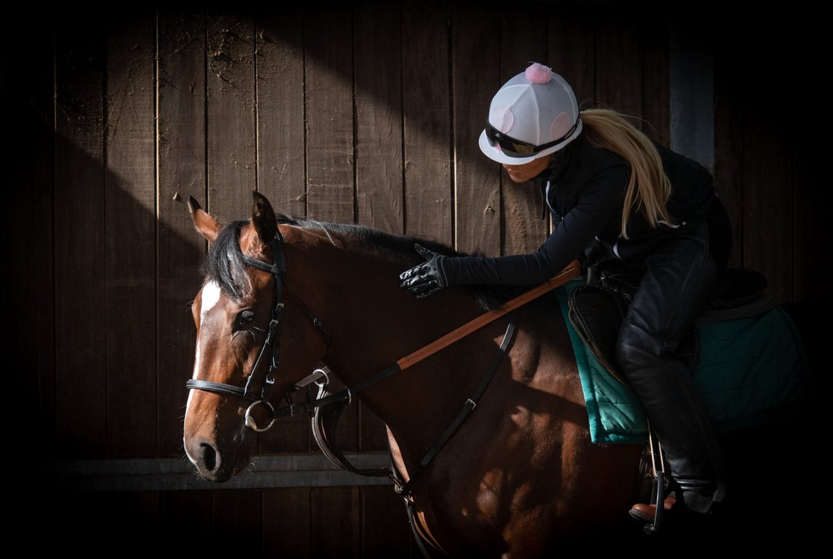 MelMedia tweet media