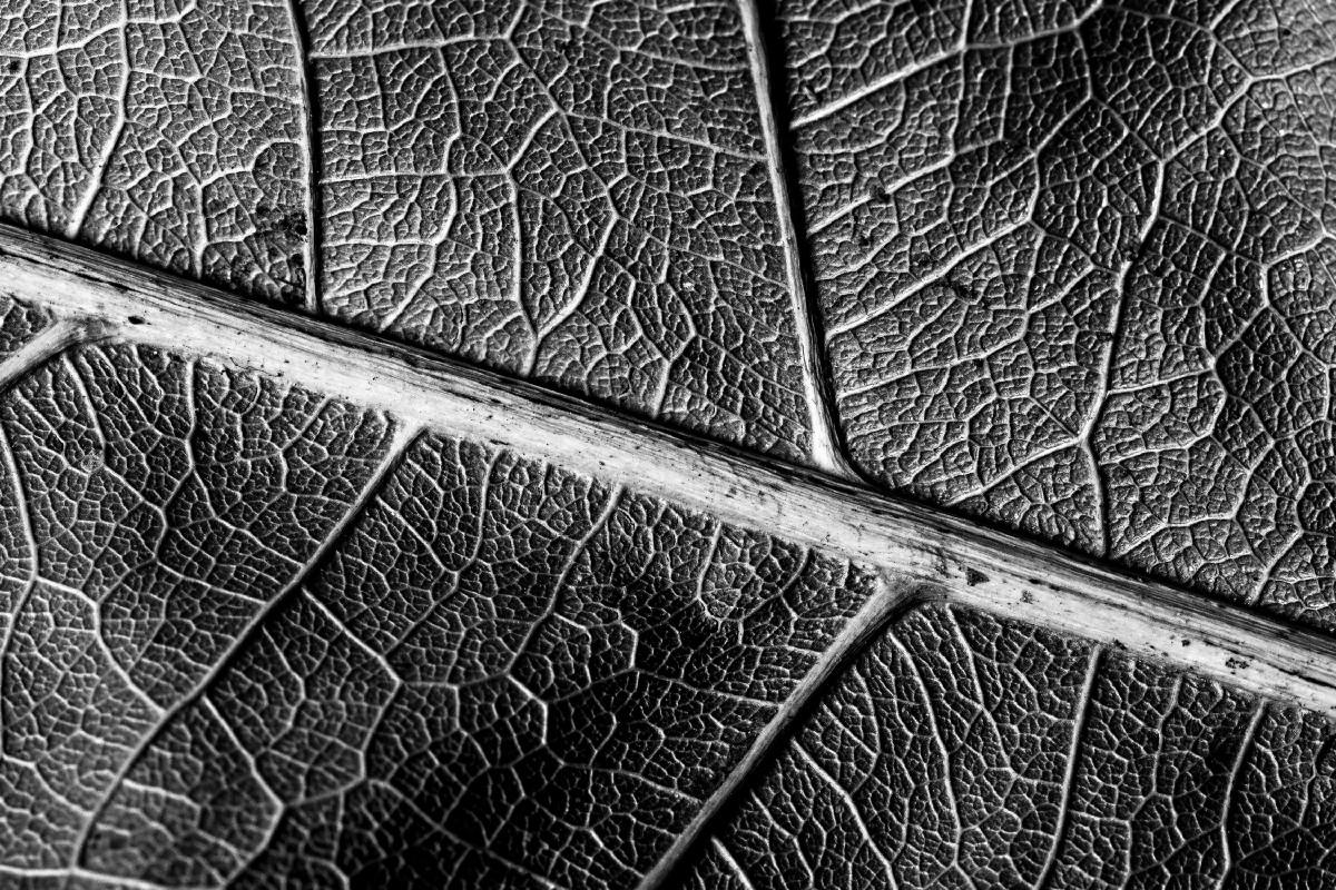 StorymakerStuff's tweet image. Interpretations bit.ly/3amyeGF - Content from Storymaker #writers #Creativity