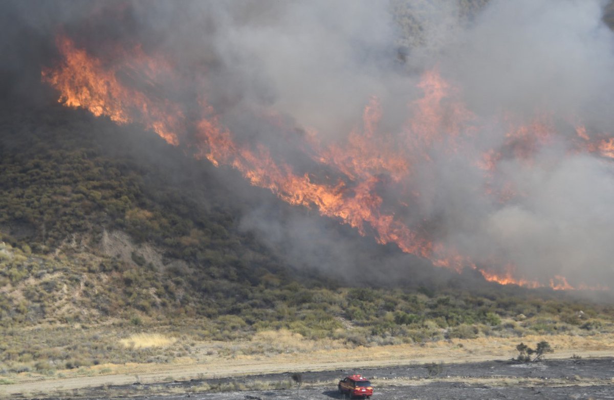 L.A. County Fire Department tweet media