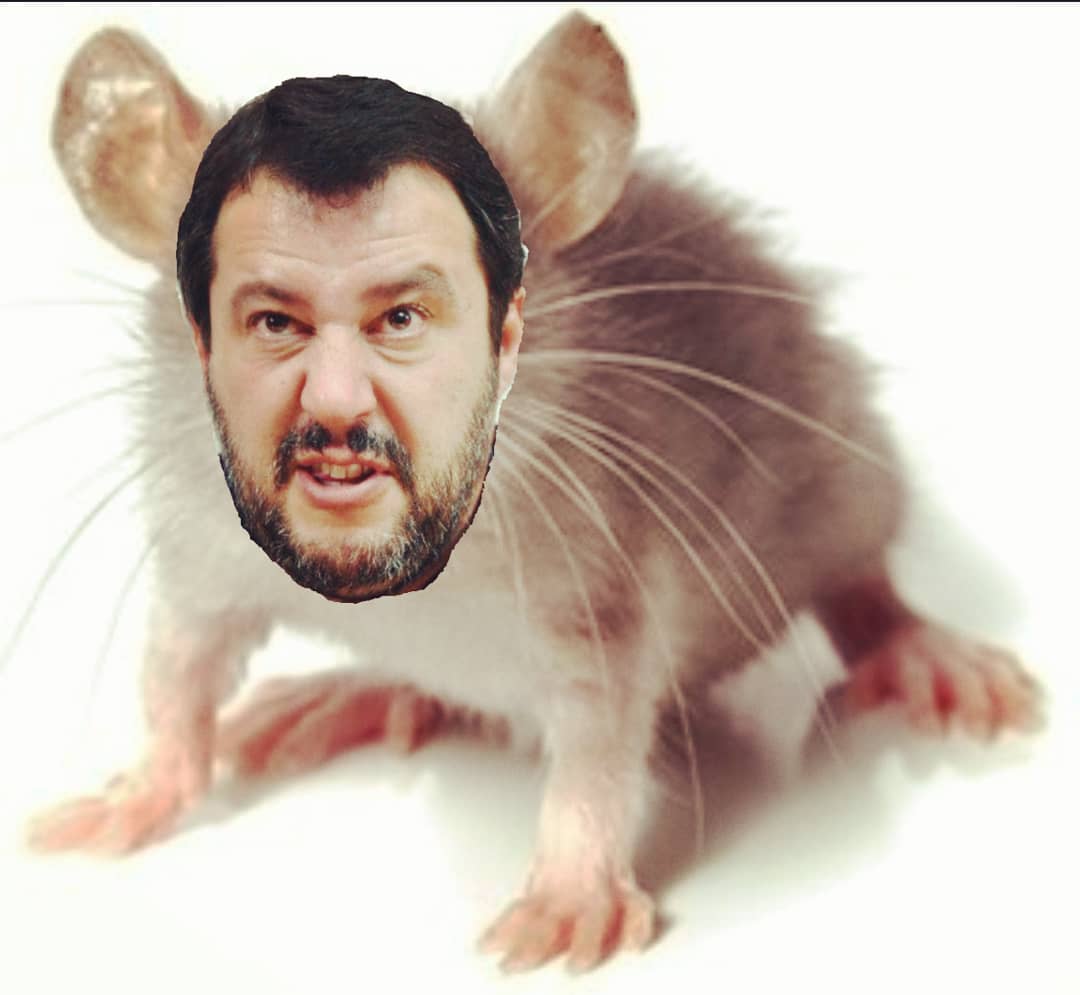 FrancoMenci's tweet photo. @LegaSalvini No, dai. Il virus ha colpito il cervello di un SORCIO. @LegaSalvini #facciamorete #istigatore #pericoloso #ciarlatano https://t.co/RSh3vFnImS