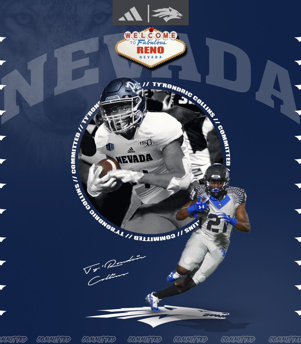 Committed 🐺 214 ✈️775