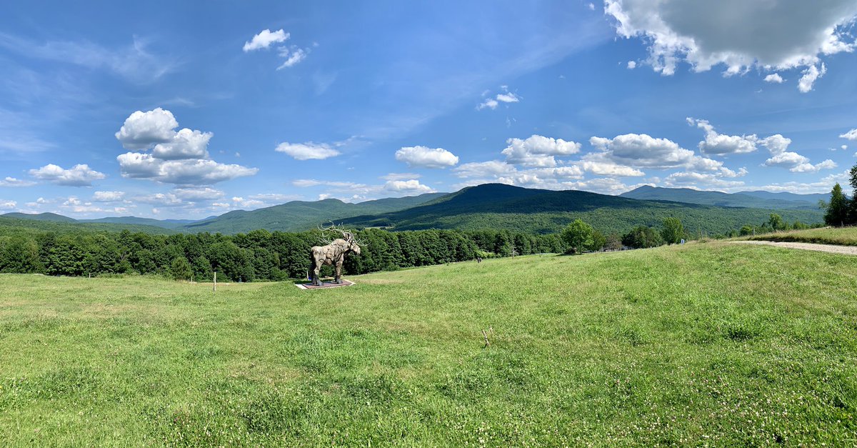 AlquierThierry's tweet photo. All set for few days @ Au Diable Vert (Sutton area) #audiablevert #Sutton Tree house camping & happy kids ! https://t.co/XzjYBlzYX9