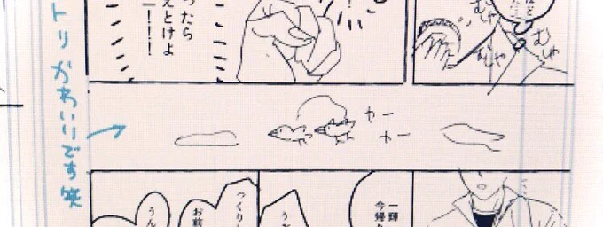 鳥褒めてもらえてて笑った🎉w
褒めてもらえるの大好き!笑 