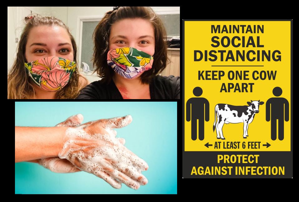 Bill Flanary tweet media