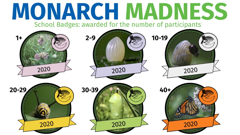 outdoor_ed's tweet photo. If you haven't heard, @wrdsb schools are competing to earn badges for participating in our #WRDSBMonarchMadness #citizenscience challenge. Earn badges for # of participants per school. Time to tap a classmate on the shoulder or RT to a fellow educator! https://t.co/3dcvwJQ1YH https://t.co/Hf5wBPNoKr