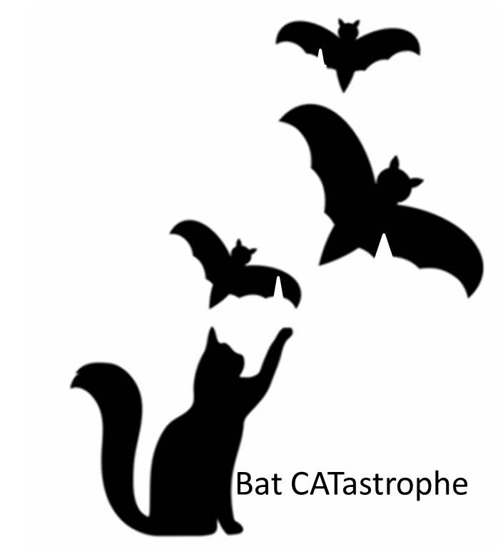Robyn Grant (@robynannegrant) on Twitter photo There is a Bat CATastrophe going on! Find out more in our new paper in <a href="/Ecol_Evol/">Ecology and Evolution</a> about how we used forensic DNA analysis to find cat DNA on lots of bat wing tears: onlinelibrary.wiley.com/doi/full/10.10… <a href="/ran777no/">Rana Khayat</a> <a href="/drkirstyshaw/">Kirsty</a> @GaryDougill <a href="/micromelling/">@micromelling</a> <a href="/_BCT_/">Bat Conservation Trust</a> There is a Bat CATastrophe going on! Find out more in our new paper in <a href="/Ecol_Evol/">Ecology and Evolution</a> about how we used forensic DNA analysis to find cat DNA on lots of bat wing tears: onlinelibrary.wiley.com/doi/full/10.10… <a href="/ran777no/">Rana Khayat</a> <a href="/drkirstyshaw/">Kirsty</a> @GaryDougill <a href="/micromelling/">@micromelling</a> <a href="/_BCT_/">Bat Conservation Trust</a>