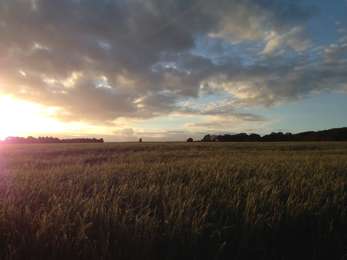 DufiaFilms's tweet photo. Starting to wonder if #TerrenceMalick directed the #ValeOfGlamorgan this evening. https://t.co/mYLoGn63T4