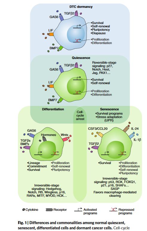 Nature Cancer tweet media