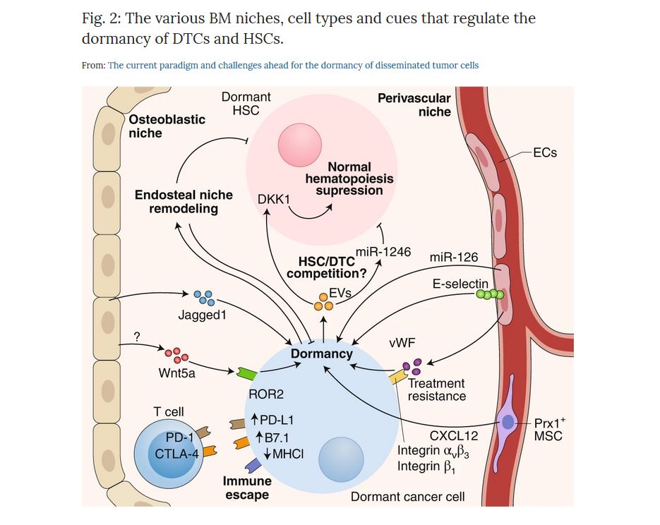 Nature Cancer tweet media
