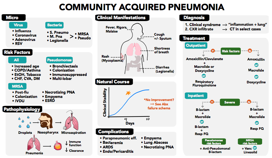 CPSolvers's tweet photo. A pillar of the community...

#MedTwitter, we are excited to share our new community acquired pneumonia illness script!
 
Find it on the website here:
And on the app here: https://t.co/FrqaX41cZD https://t.co/YLZDeb5hg6