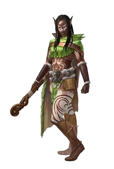 Race (now Ancestry) has dozens of subraces called Heritages. Sure you're an elf- but are you a forest elf? An arctic elf? Hell, maybe you're a Tiefling Elf or a Dhampir Elf! Each has their own benefits and abilities you can choose as you level up!
