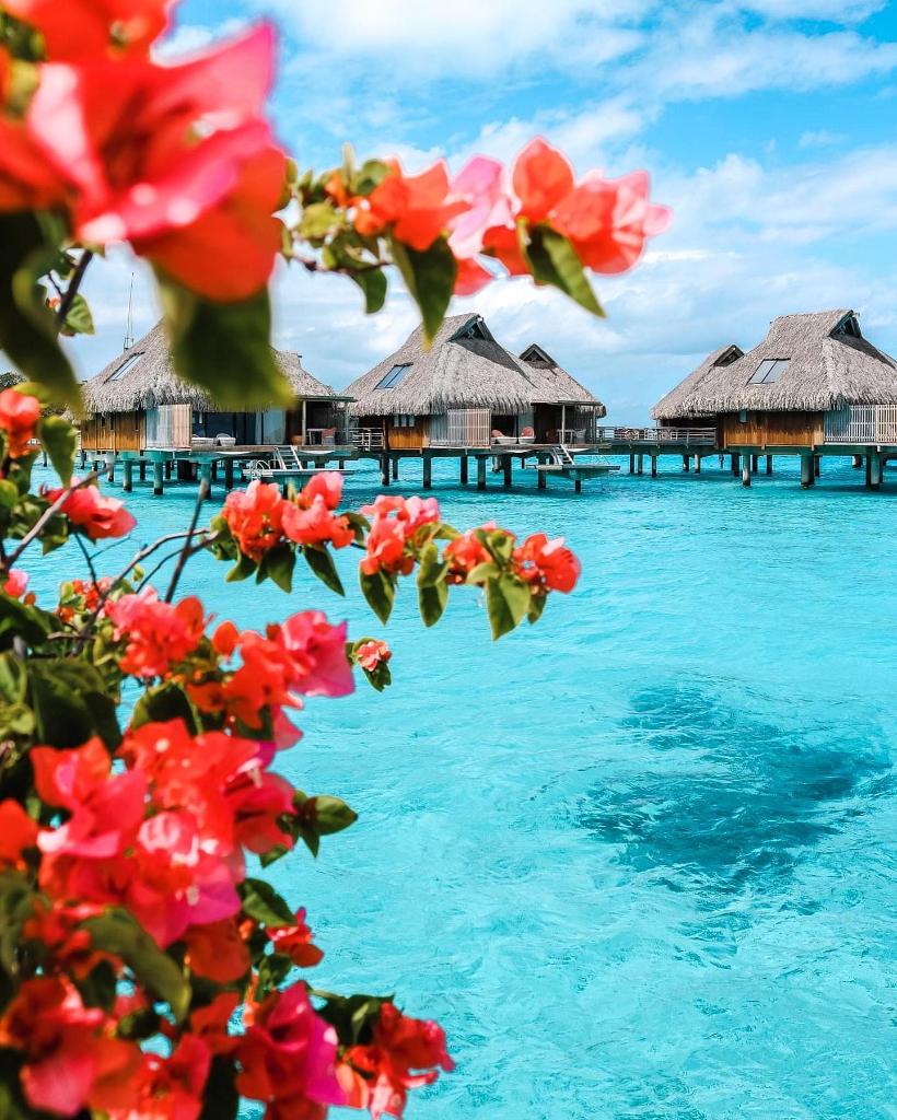 Take a moment to appreciate the beauty of nature
Photography by eatlivetraveldrink